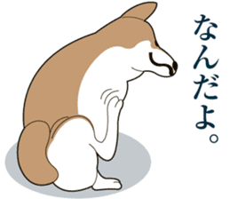 Illustration of SHIBA INU realistic sticker #13693102