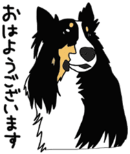 Shetlandsheepdog Sticker 3 sticker #13693214