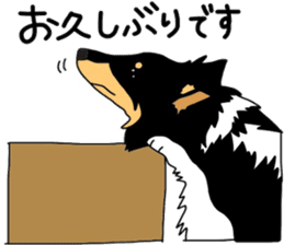 Shetlandsheepdog Sticker 3 sticker #13693217