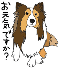 Shetlandsheepdog Sticker 3 sticker #13693219