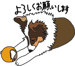 Shetlandsheepdog Sticker 3 sticker #13693220