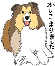 Shetlandsheepdog Sticker 3 sticker #13693221