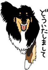 Shetlandsheepdog Sticker 3 sticker #13693227