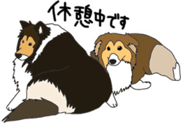 Shetlandsheepdog Sticker 3 sticker #13693231