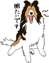 Shetlandsheepdog Sticker 3 sticker #13693232