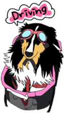 Shetlandsheepdog Sticker 3 sticker #13693241