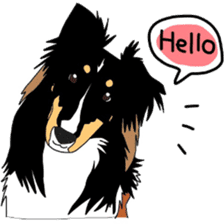 Shetlandsheepdog Sticker 3 sticker #13693244