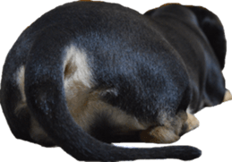 Ramusan Kuusan sticker #13694768