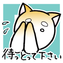 Hakata's Dogs 6th season Honorific ver2 sticker #13696779