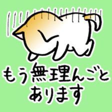Hakata's Dogs 6th season Honorific ver2 sticker #13696790