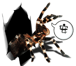 Spider Invasion phone has sticker #13696918