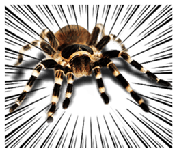 Spider Invasion phone has sticker #13696923