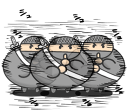 Ninja -Z- sticker #13697192