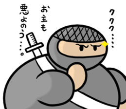 Ninja -Z- sticker #13697205