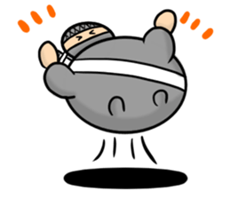 Ninja -Z- sticker #13697206