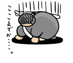 Ninja -Z- sticker #13697208