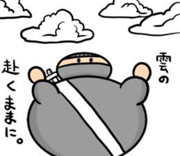Ninja -Z- sticker #13697223