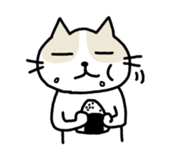 cool cool cat 4 sticker #13698171