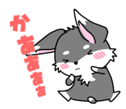 Miniature Schnauzer MOCO' sticker #13698315