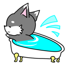 Miniature Schnauzer MOCO' sticker #13698338