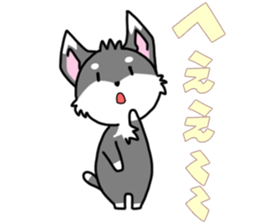 Miniature Schnauzer MOCO' sticker #13698339