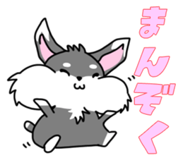 Miniature Schnauzer MOCO' sticker #13698340