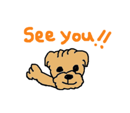 CUTE TOYPOODLE STICKER sticker #13698347