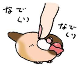 Powerful Java sparrow 3rd sticker #13698566