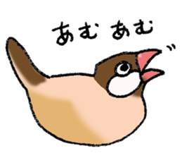 Powerful Java sparrow 3rd sticker #13698571