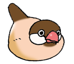 Powerful Java sparrow 3rd sticker #13698583