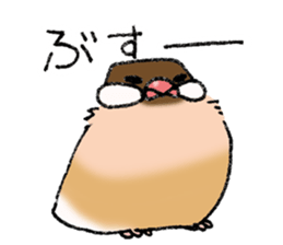 Powerful Java sparrow 3rd sticker #13698585