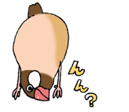 Powerful Java sparrow 3rd sticker #13698587