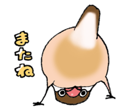 Powerful Java sparrow 3rd sticker #13698594