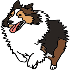 Shetlandsheepdog Sticker 4