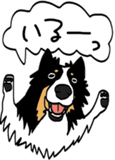 Shetlandsheepdog Sticker 4 sticker #13699095