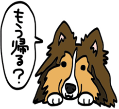 Shetlandsheepdog Sticker 4 sticker #13699097