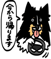 Shetlandsheepdog Sticker 4 sticker #13699101