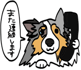Shetlandsheepdog Sticker 4 sticker #13699102