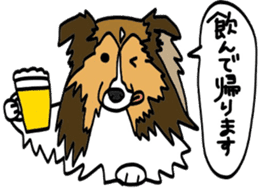 Shetlandsheepdog Sticker 4 sticker #13699103
