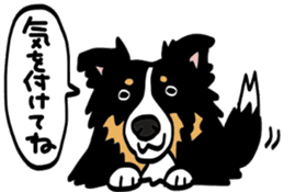 Shetlandsheepdog Sticker 4 sticker #13699104