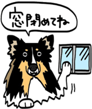 Shetlandsheepdog Sticker 4 sticker #13699107