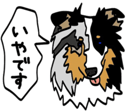 Shetlandsheepdog Sticker 4 sticker #13699111