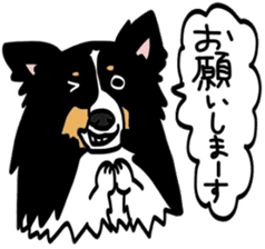 Shetlandsheepdog Sticker 4 sticker #13699113