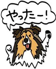 Shetlandsheepdog Sticker 4 sticker #13699115
