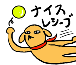 Funny weird animals everyday! sticker #13699857