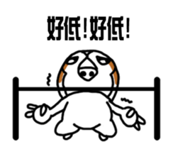 White Lazy Sloth-2 sticker #13699897