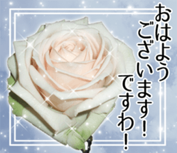 Rose Lady Sticker sticker #13700302