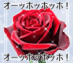 Rose Lady Sticker sticker #13700306