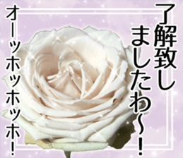 Rose Lady Sticker sticker #13700315