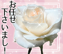 Rose Lady Sticker sticker #13700317